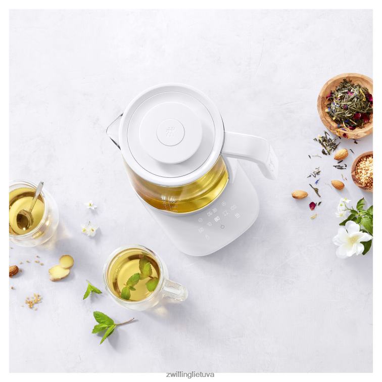 Zwilling enfinigy stiklinis virdulys – sidabrinis elektrikai 8X8Z2X551