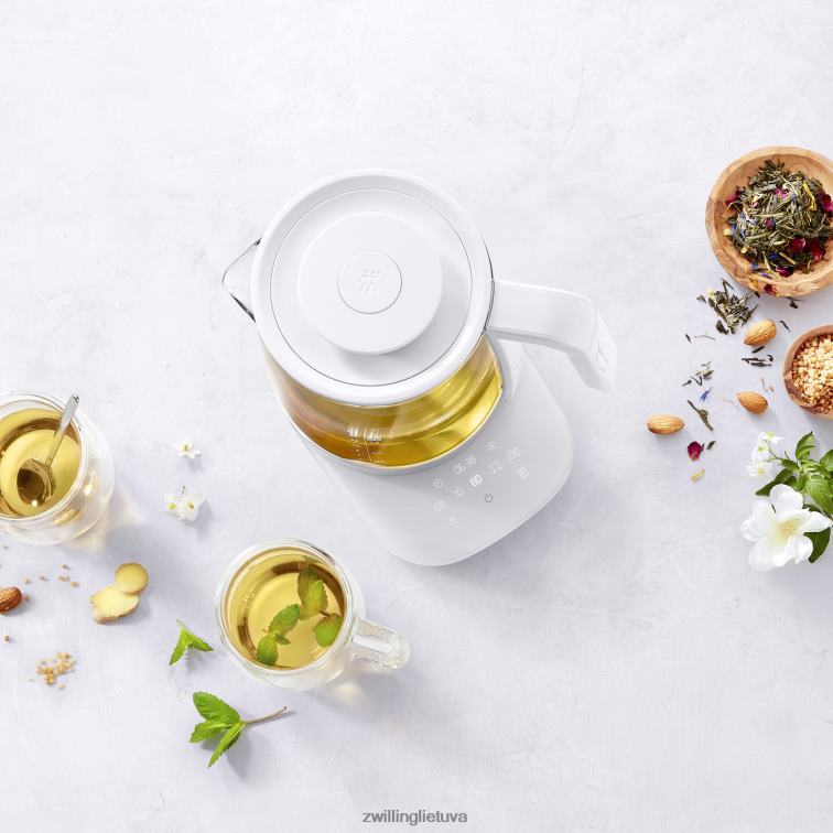 Zwilling enfinigy stiklinis virdulys – sidabrinis – atnaujintas stalo įrankiai 8X8Z2X548