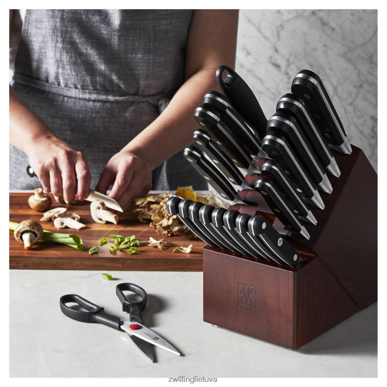 Zwilling pro 22 vnt, peilių blokų komplektas, sidabro-juodas stalo įrankiai 8X8Z2X379