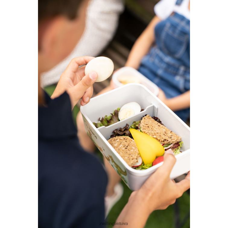 Zwilling fresh & save l dinos vakuuminė priešpiečių dėžutė, plastikinė, baltai pilka virtuvė 8X8Z2X513