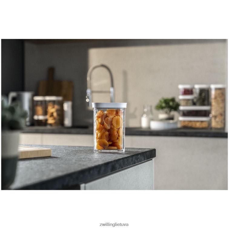 Zwilling šviežias ir taupomas kubo konteineris 2s, 0,875 qt, skaidrus-baltas virtuvė 8X8Z2X526