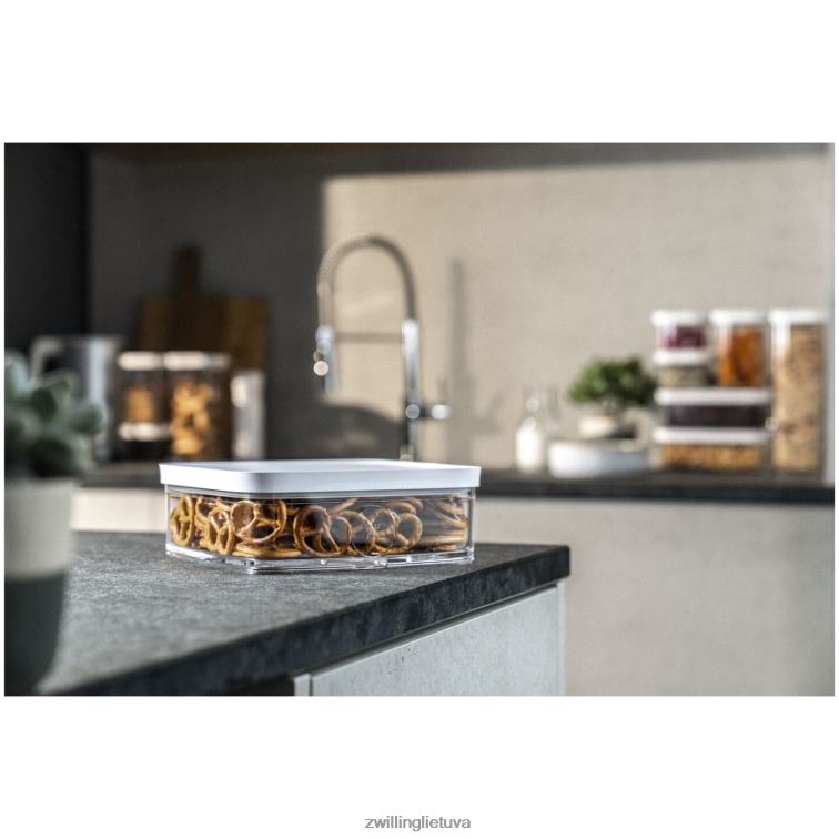 Zwilling šviežias ir taupomas kubo konteineris l, 1,75 qt, skaidrus-baltas virtuvė 8X8Z2X475